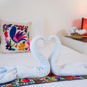 Hidalgo Boutique Rooms